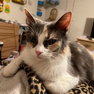 Meet your Posher, Courtenay